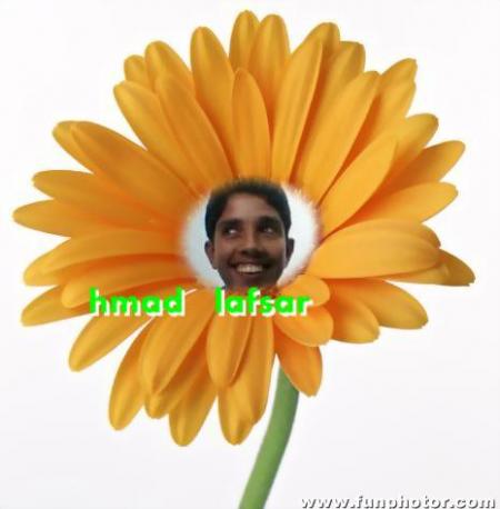 c moi ahmed